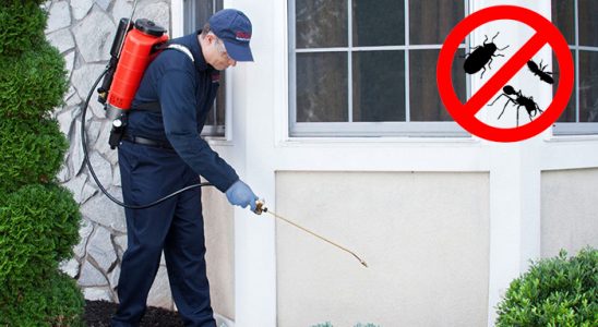 Kaynarca Böcek İlaçlama böcek ilaçlama ve haşere kontrolü — ilaclama-tr.com